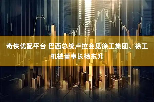 奇侠优配平台 巴西总统卢拉会见徐工集团、徐工机械董事长杨东升