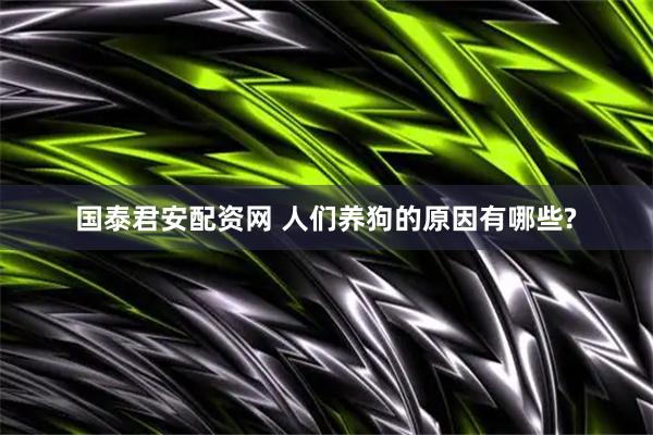 国泰君安配资网 人们养狗的原因有哪些?