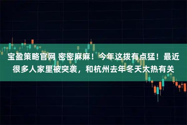 宝盈策略官网 密密麻麻！今年这拨有点猛！最近很多人家里被突袭，和杭州去年冬天太热有关